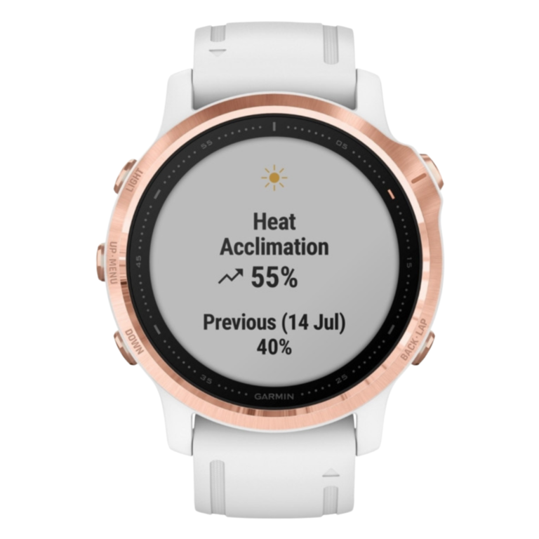 Garmin Fenix 6S Pro Rose Gold GPS Mapy Garmin Pay Muzyka WiFi 42mm (4)